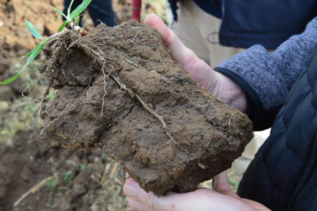 A sustainable food and drink supply for the UK